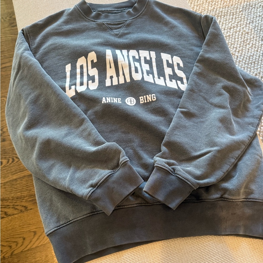 Anine Bing Gray Sweatshirt